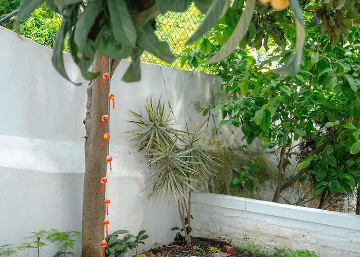 Charming 1br With Terrace Praca Flores | By Airnest Lejlighed