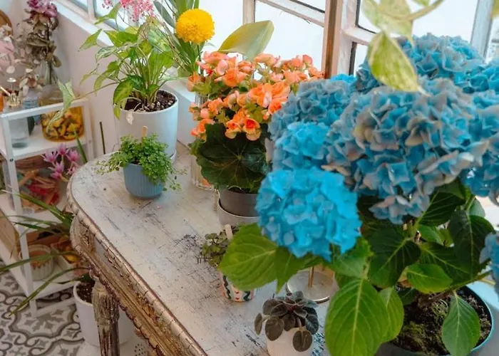 Apartamento Charming 1br With Terrace Praca Flores | By Airnest