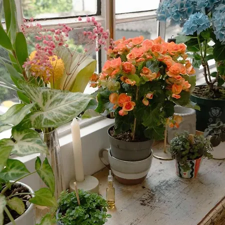 Charming 1br With Terrace Praca Flores | By Airnest * Lizbona