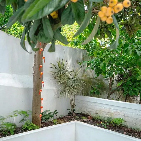 Charming 1br With Terrace Praca Flores | By Airnest Apartman