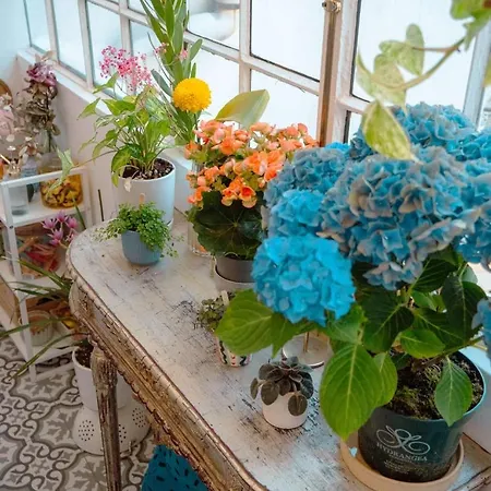 Apartament Charming 1br With Terrace Praca Flores | By Airnest