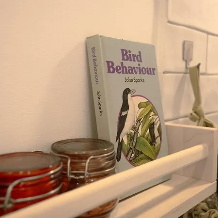 Charming 1br With Terrace Praça Flores | By Airnest * Lisboa